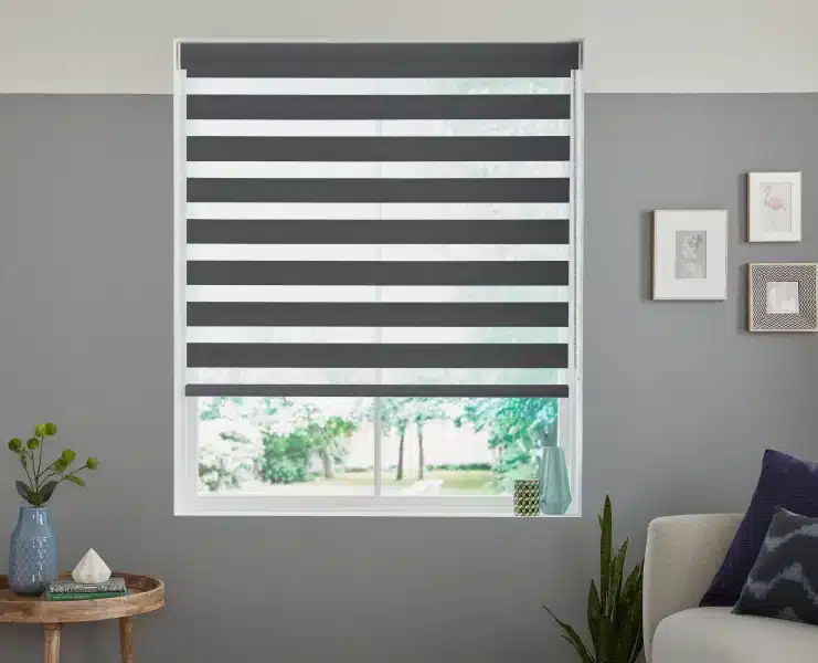Zebra Blinds